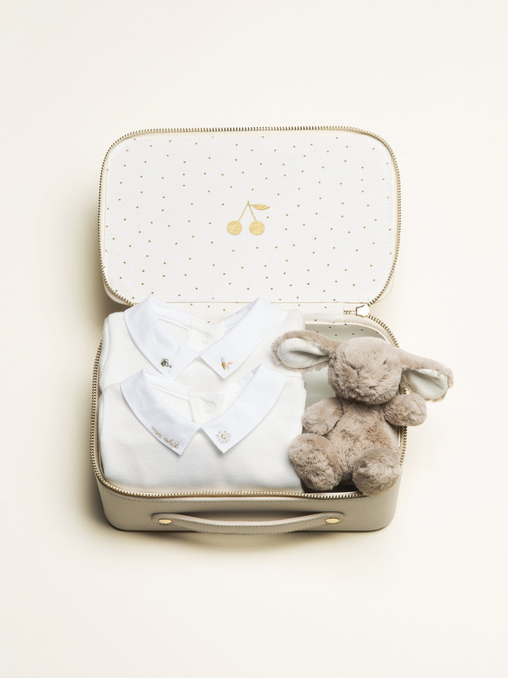 Small bodysuits case