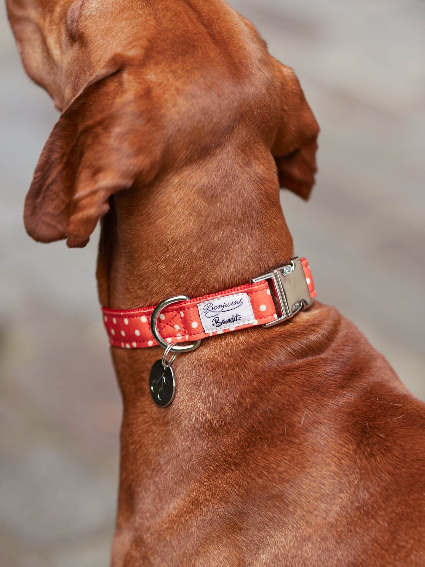 Bonpoint x French Bandit Dog Collar red